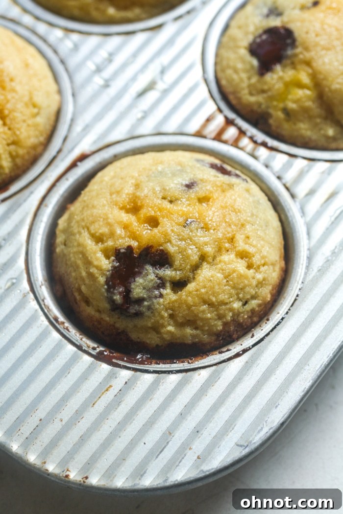 Tray of golden-brown, perfectly puffed Paleo muffins, fresh out of the oven and still in the pan.
