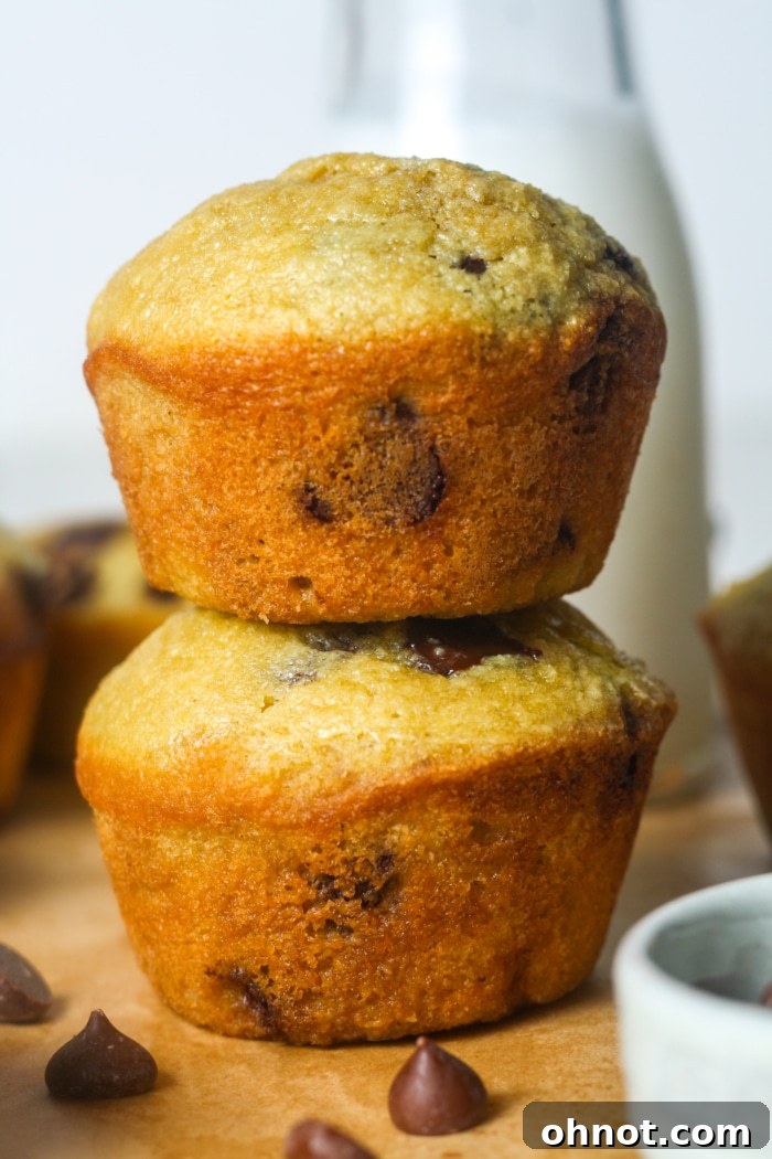 A stack of three healthy Paleo chocolate chip muffins on a white plate, ready for breakfast or a snack.