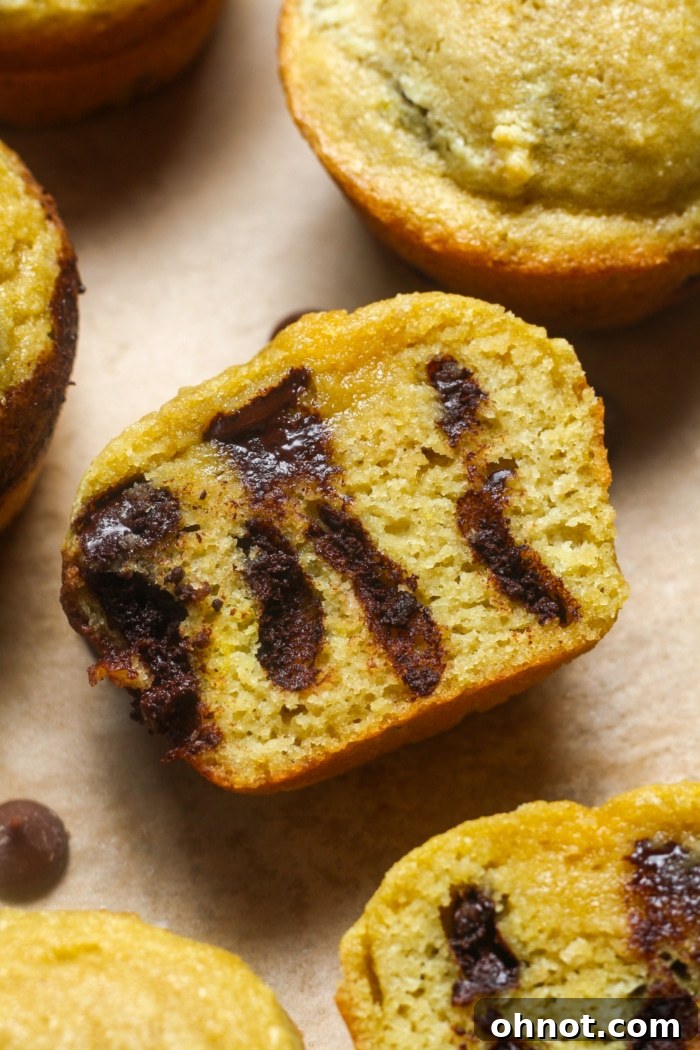 A close-up of a single Paleo chocolate chip muffin, highlighting its fluffy interior and melted chocolate chips.