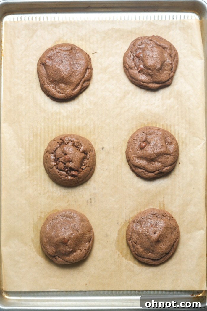 Freshly baked chocolate cheesecake cookies, slightly warm and soft.