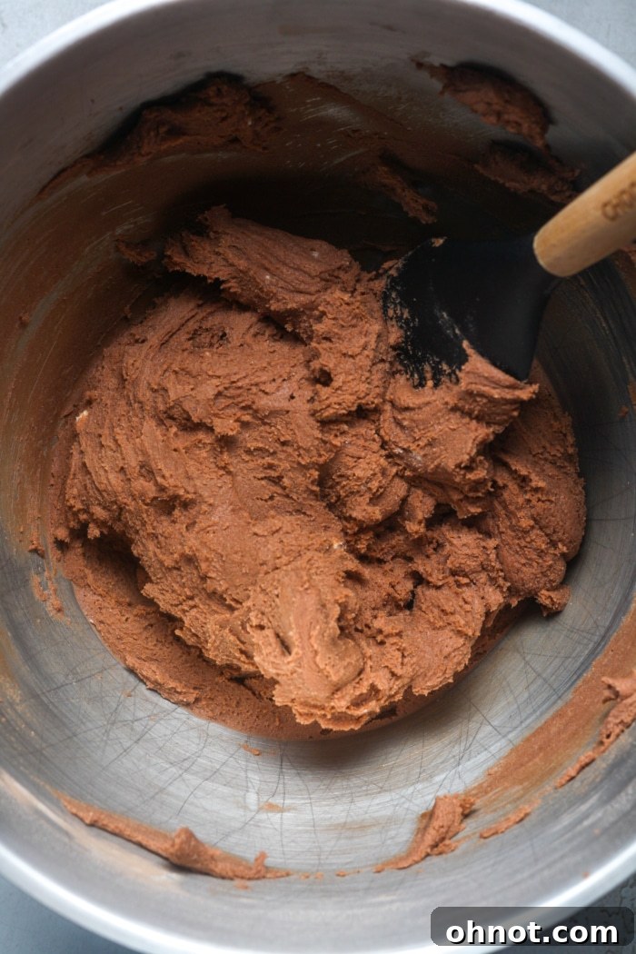 Thick, dark chocolate cookie dough formed in a mixing bowl.