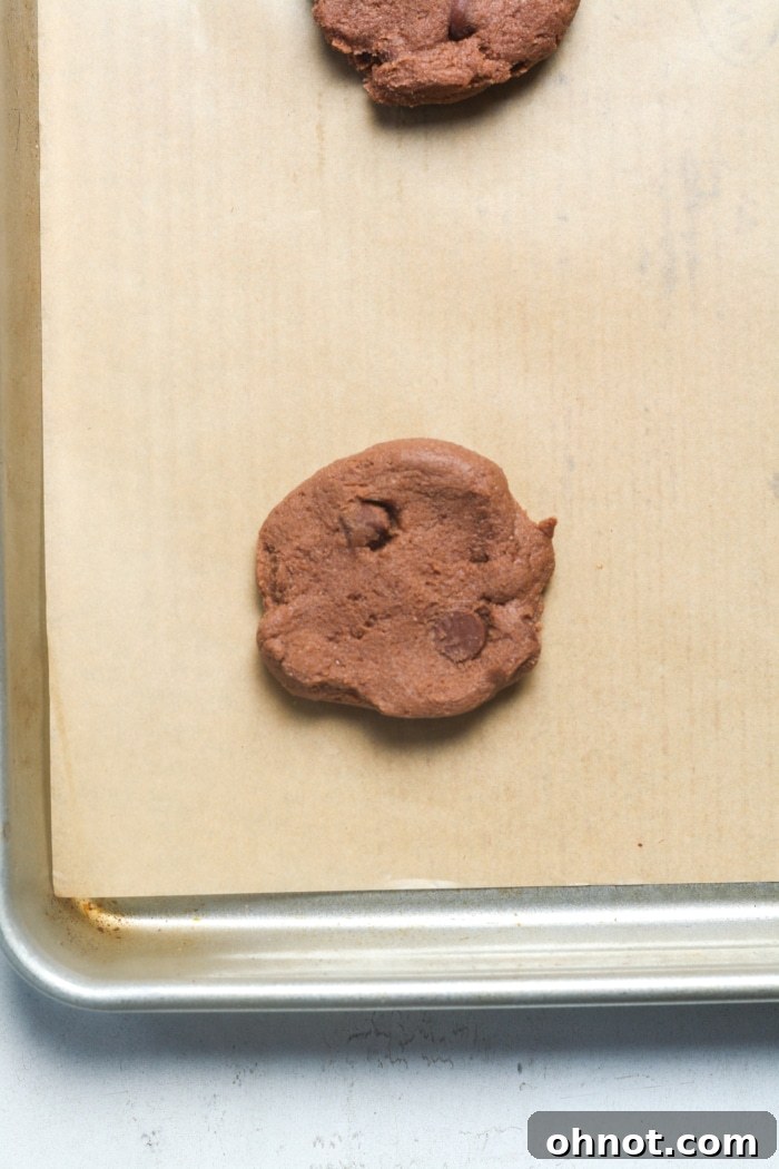 Flattened disc of chocolate cookie dough on parchment paper.