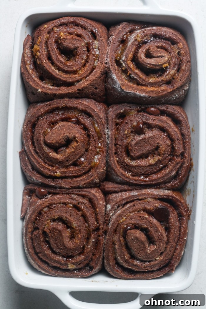 Freshly baked chocolate sweet rolls, golden brown.