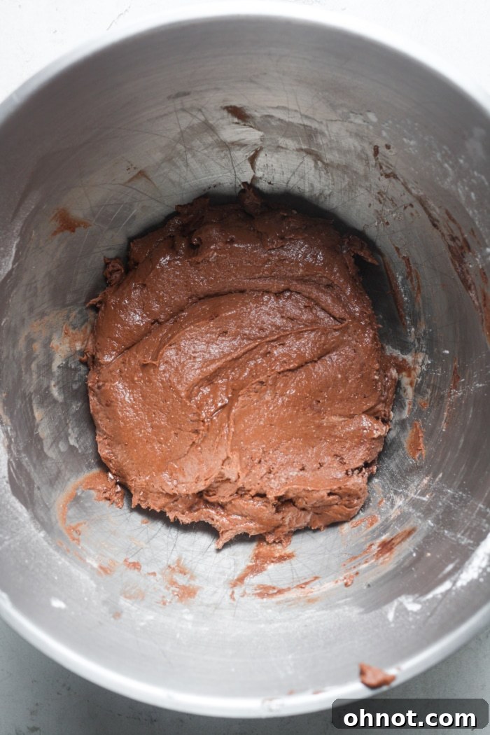 Thick chocolate batter mixed in a stand mixer bowl.