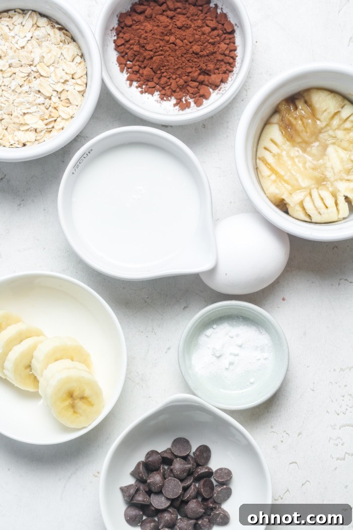 A flat lay photograph showcasing the simple, wholesome ingredients laid out for making chocolate baked oats: rolled oats, a ripe banana, an egg, cocoa powder, dairy-free milk, baking powder, and dark chocolate chips.