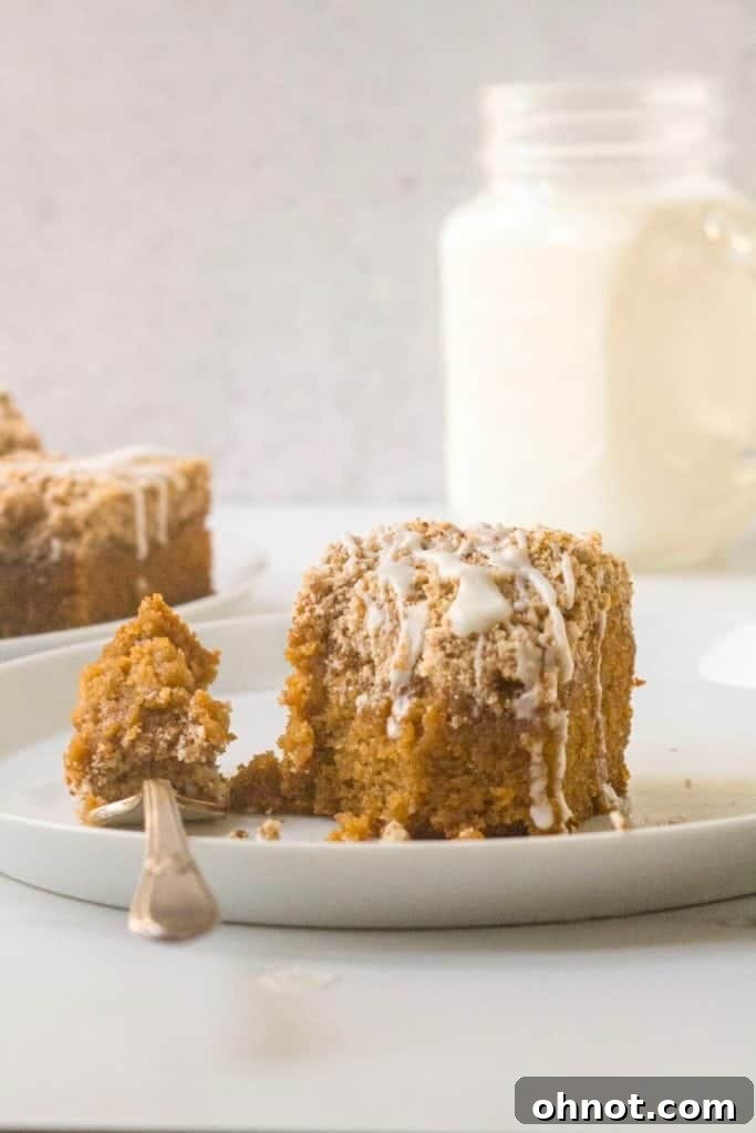 Close-up of a slice of gluten-free cinnamon cake, revealing its moist texture and crumb topping