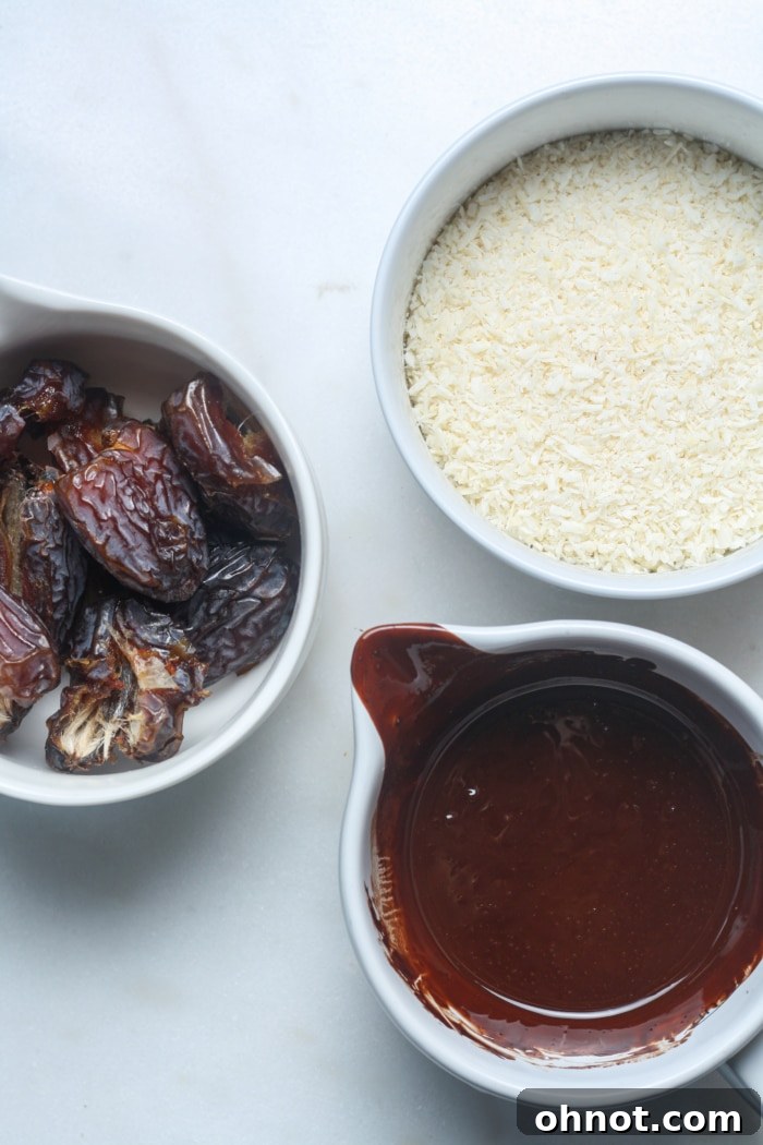 Simple ingredients for healthy no-bake Samoa cookies.