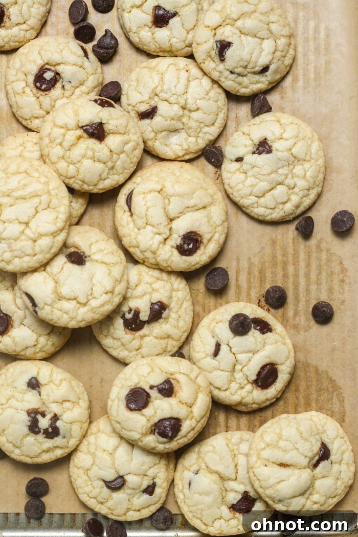 Mini chocolate chip cookies, perfectly baked and golden brown.