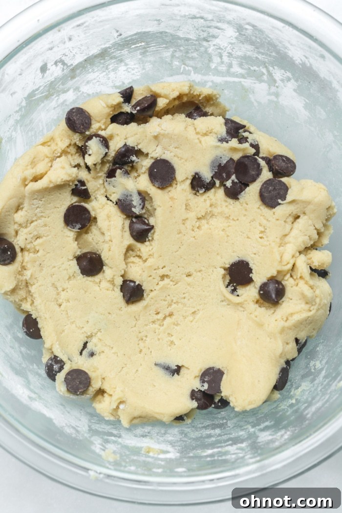Cookie dough with chocolate chips folded in.