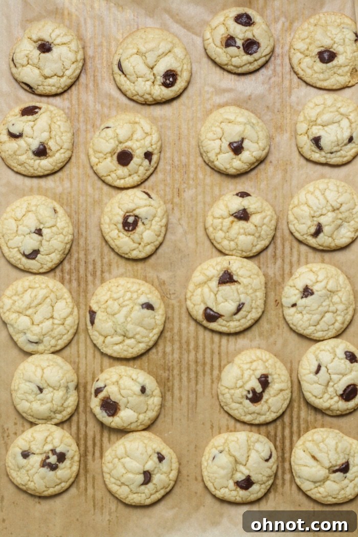 Freshly baked mini cookies on a baking sheet.