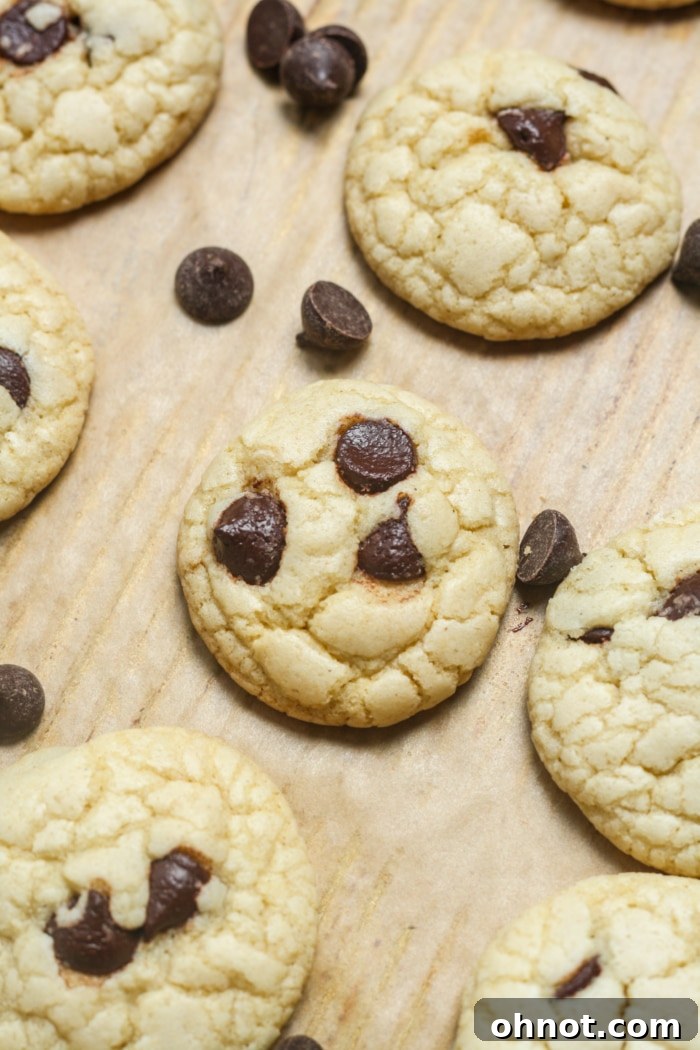 Close up photo of several mini chocolate chip cookies on a cooling rack.