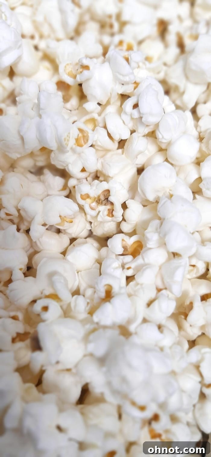 Plant based popcorn.