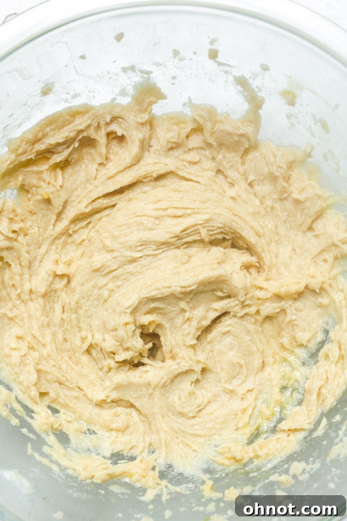 Smooth, creamy dough in a mixing bowl after egg and vanilla have been added.