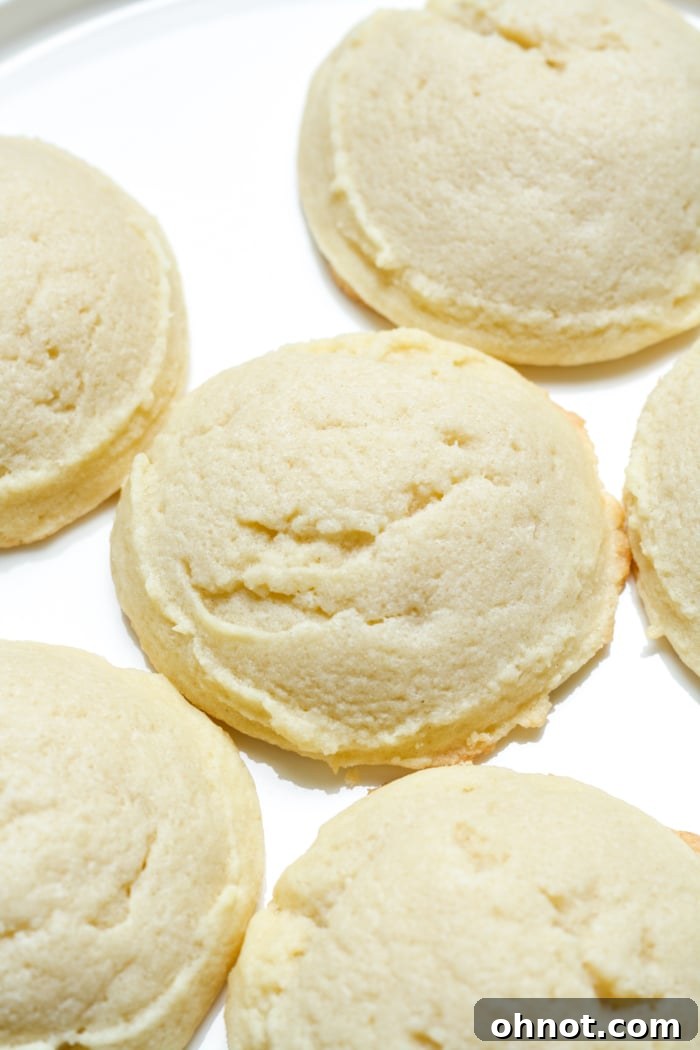 Freshly baked, perfectly golden egg-free sugar cookies.