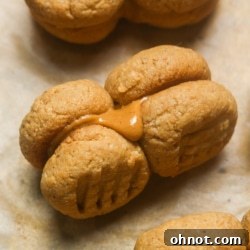 Gluten Free Nutter Butters.
