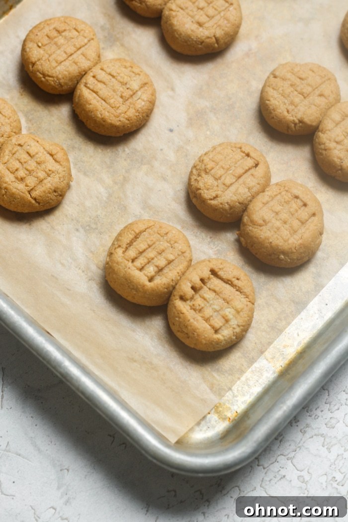 Freshly baked peanut butter cookies with a golden-brown edge, cooling on a baking sheet.