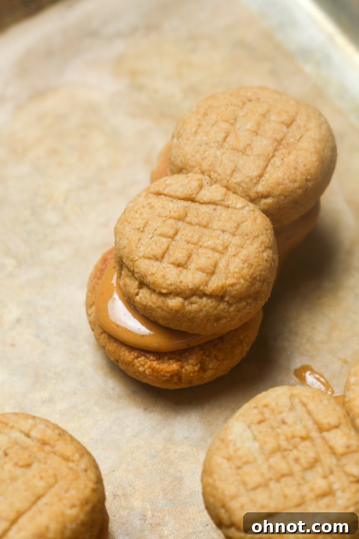 Assembled peanut butter sandwich cookies, showing the creamy filling between two criss-cross patterned cookies.