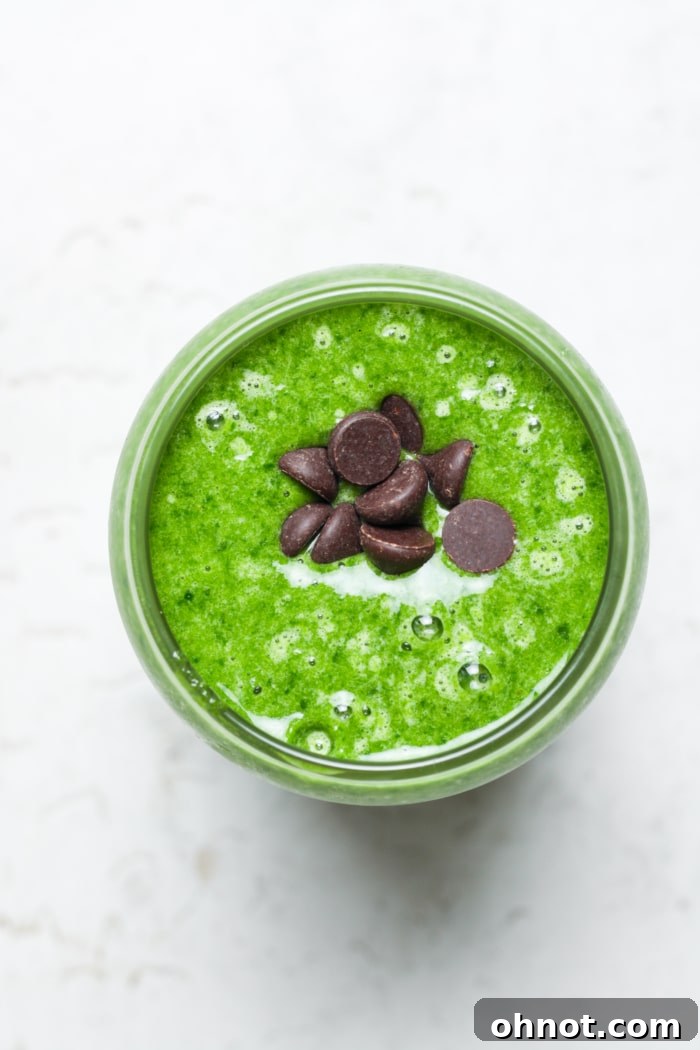 A tall glass filled with the frothy, mint green protein shamrock shake, topped with dark chocolate chips.