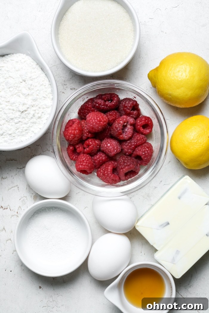 Ingredients for lemon raspberry bars, laid out on a table.