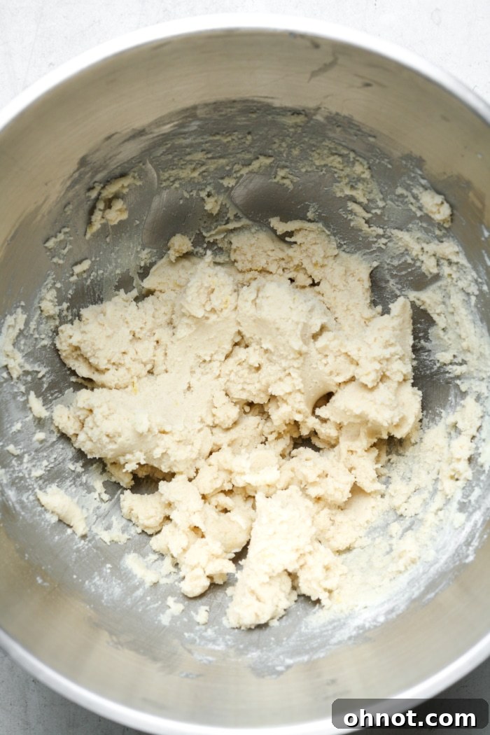 Shortbread dough ready to be pressed into pan.