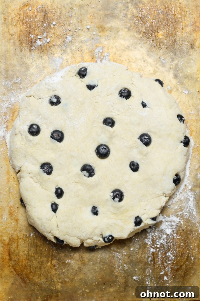 Round scone dough disc with blueberries on a floured surface.