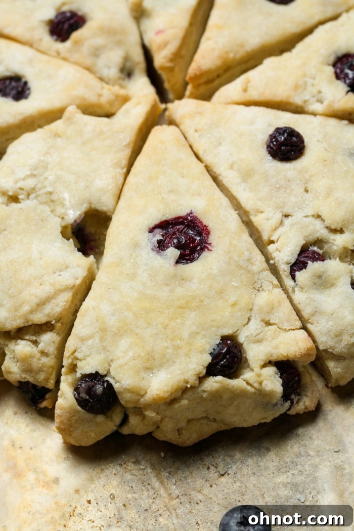Baked gluten-free blueberry scones on a baking sheet.
