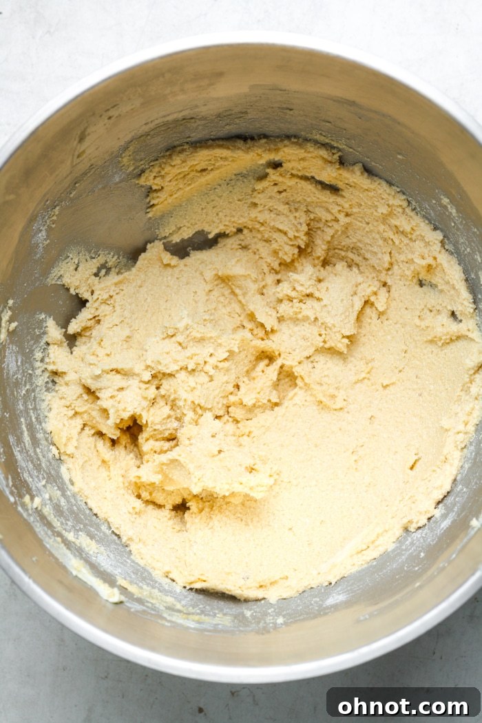 A light-colored, freshly mixed cookie dough in a stand mixer bowl, perfectly formed.