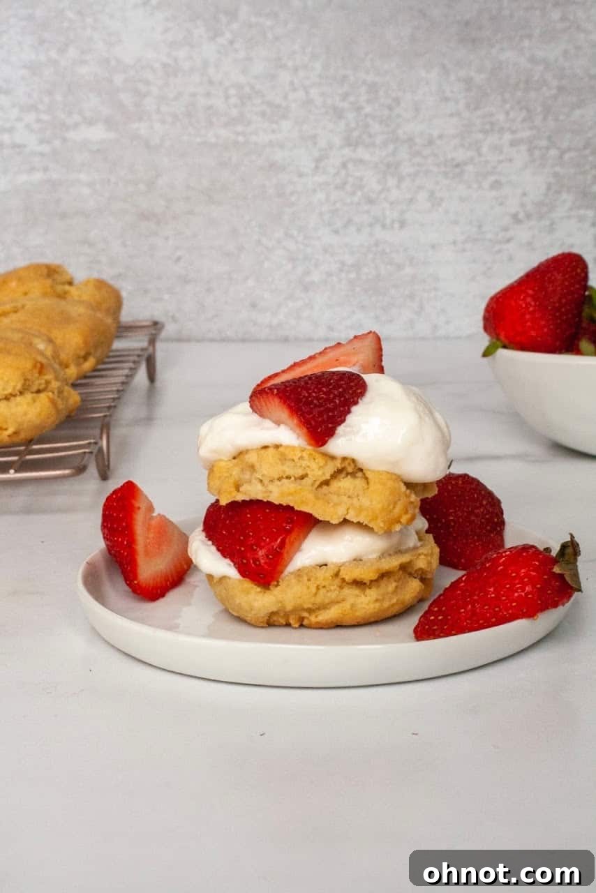 Finished Paleo Strawberry Shortcake with fresh mint garnish