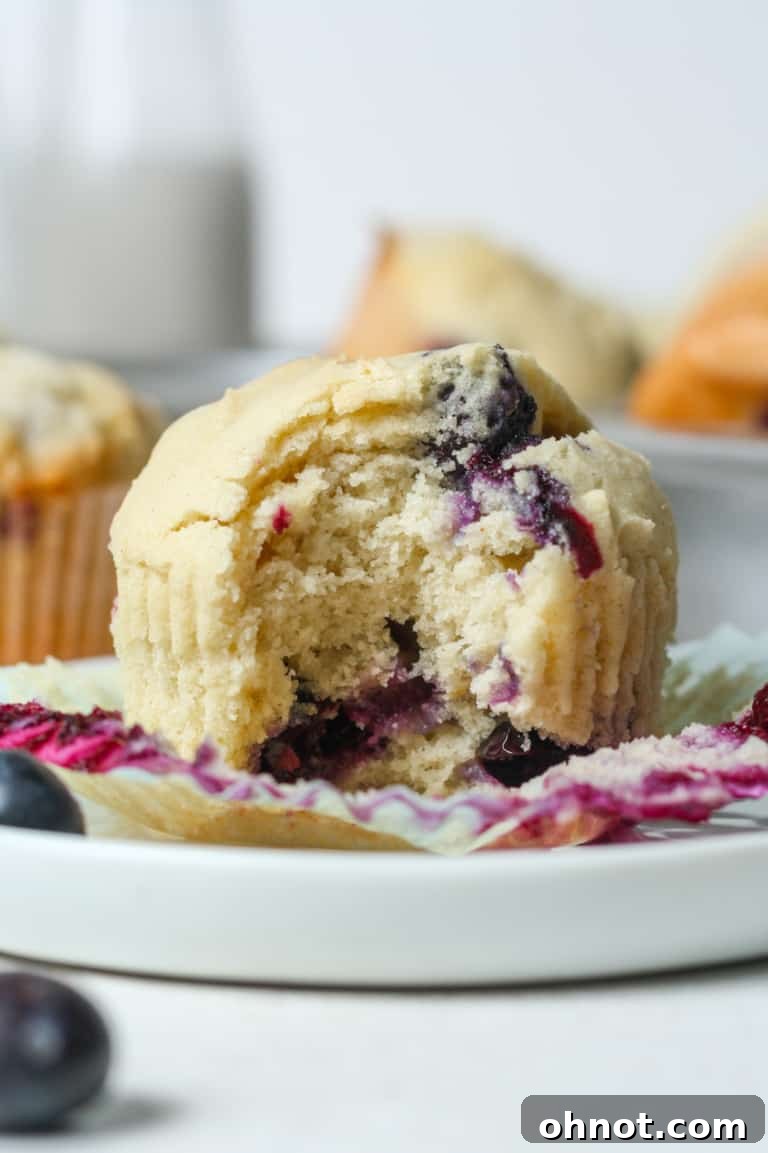 Soft and fluffy gluten-free blueberry muffins with lemon zest