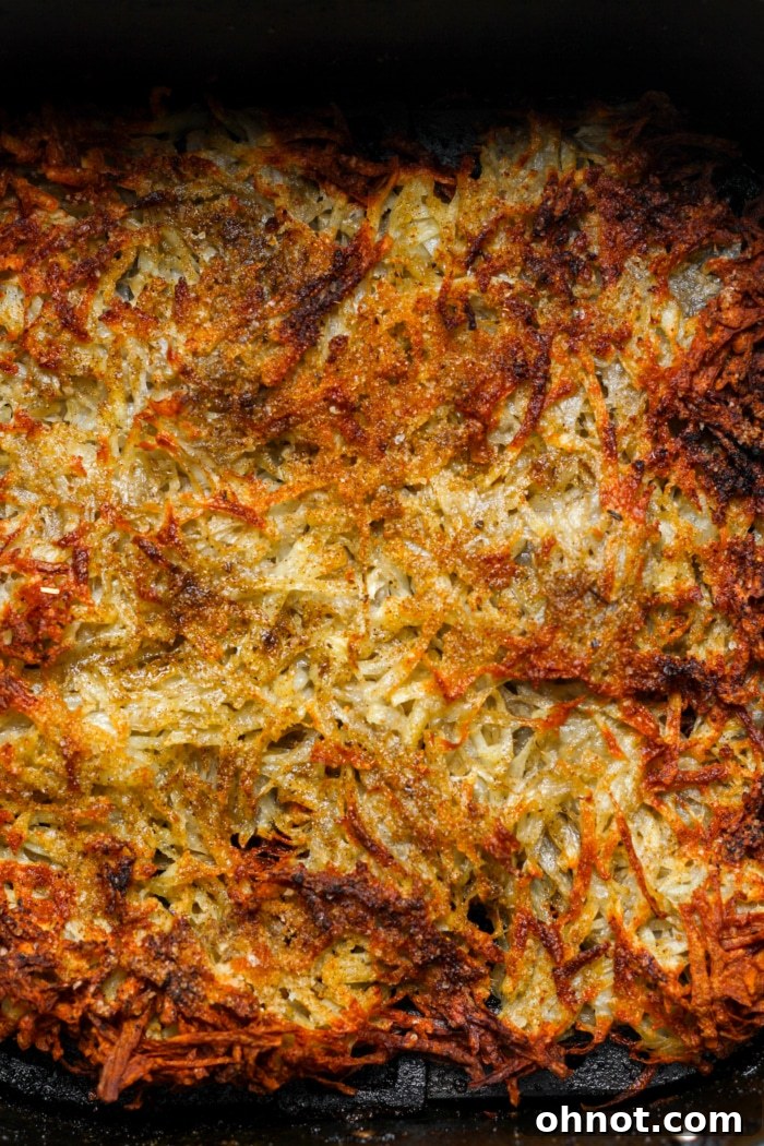 Crispy air fried shredded potato patty in the air fryer basket.