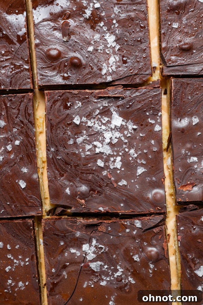 Neatly sliced squares of Millionaire Bars, showcasing all three layers.