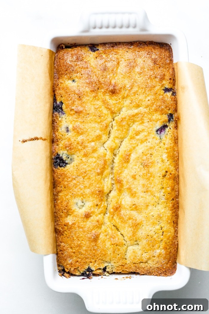 Freshly baked lemon blueberry bread cooling.