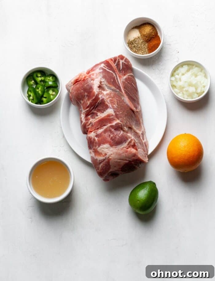 Various spices and ingredients laid out for carnitas preparation.