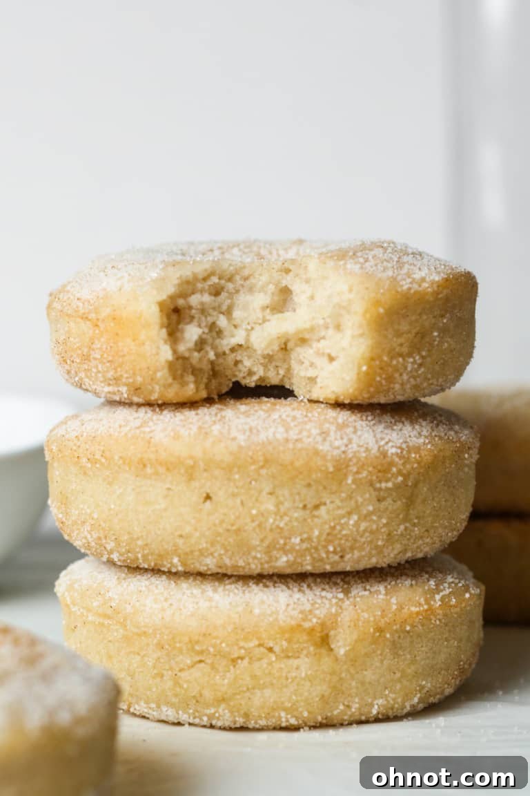 Close-up of fluffy vegan donuts coated in cinnamon sugar.