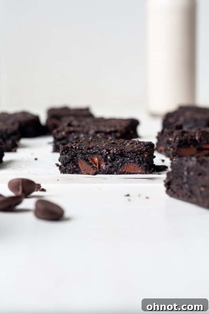 Rich, fudgy eggless brownies with a crinkly top, dusted with cocoa powder.