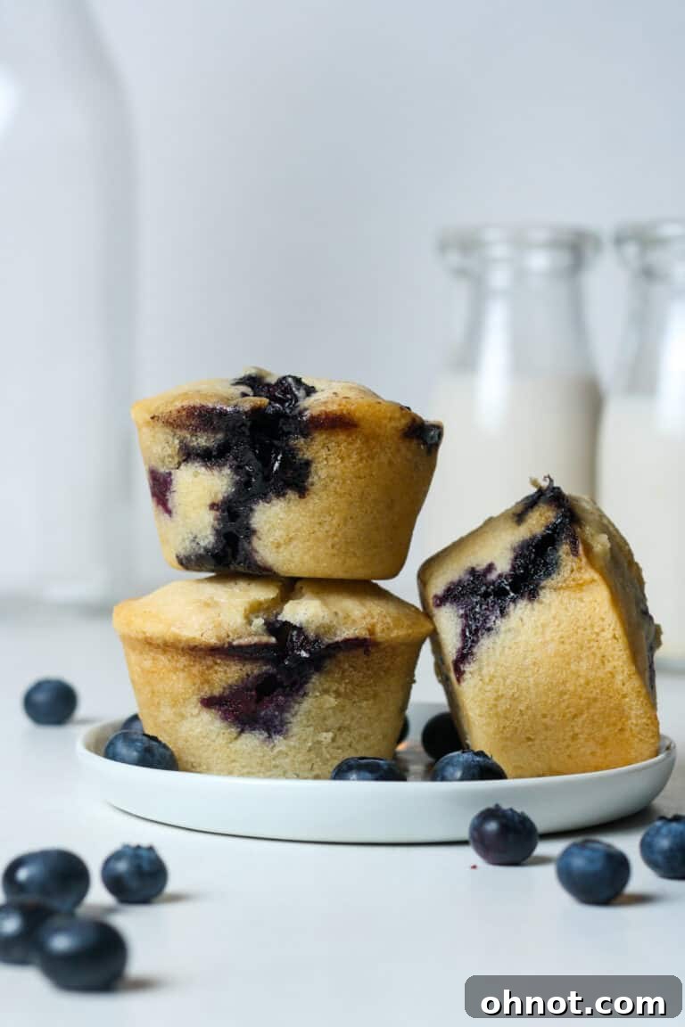 Freshly baked vegan blueberry muffins, golden brown and loaded with blueberries.