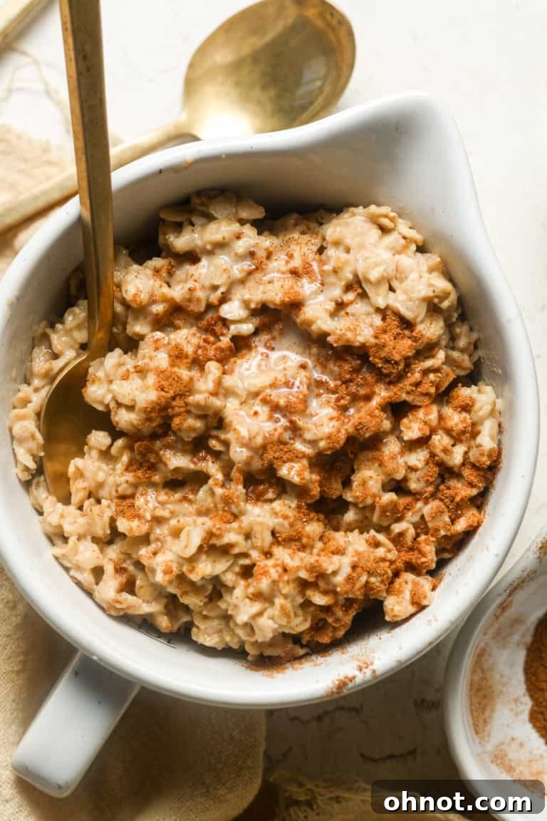 A bowl of warm cinnamon spice oatmeal, garnished with a sprinkle of cinnamon.