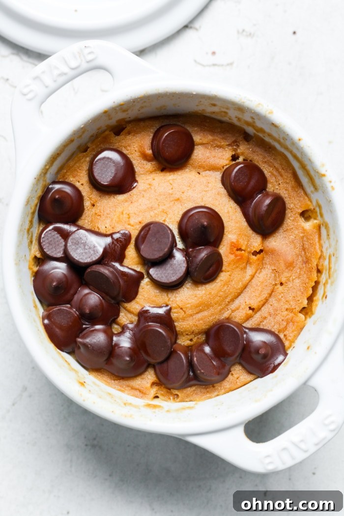 Chocolate chip mini dessert.