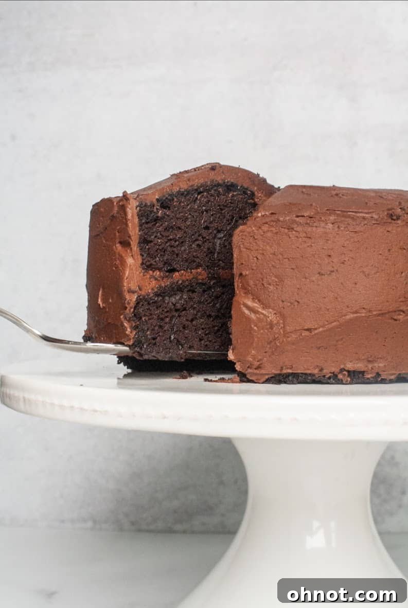 Decadent Grain-Free Gluten-Free Paleo Chocolate Cake with dark chocolate frosting, topped with fresh berries, showcasing the soft cake layers and rich texture.