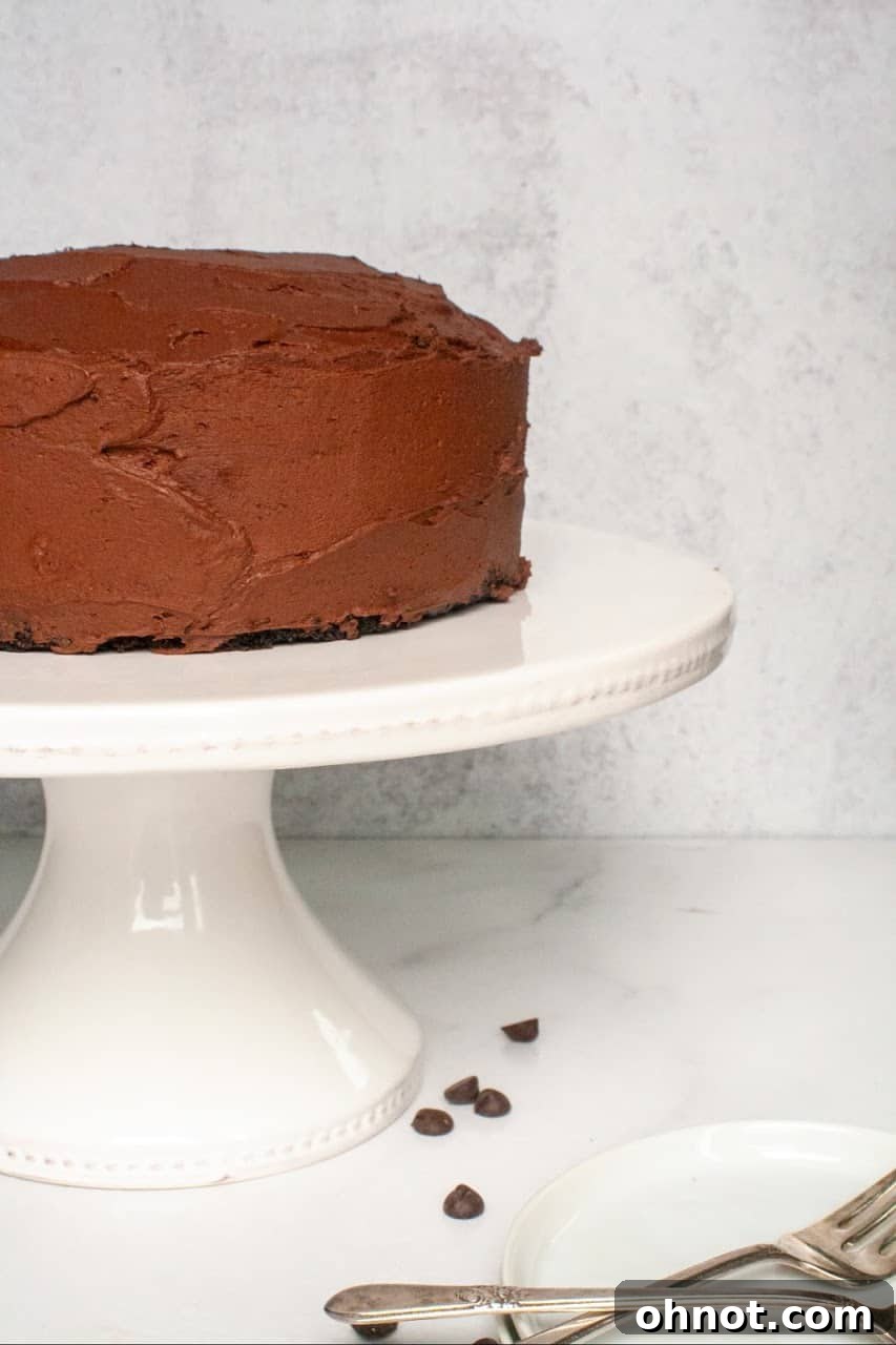Close-up of a slice of Grain-Free Gluten-Free Paleo Chocolate Cake, showing the moist crumb and generous layers of dark chocolate frosting, ready to be enjoyed.