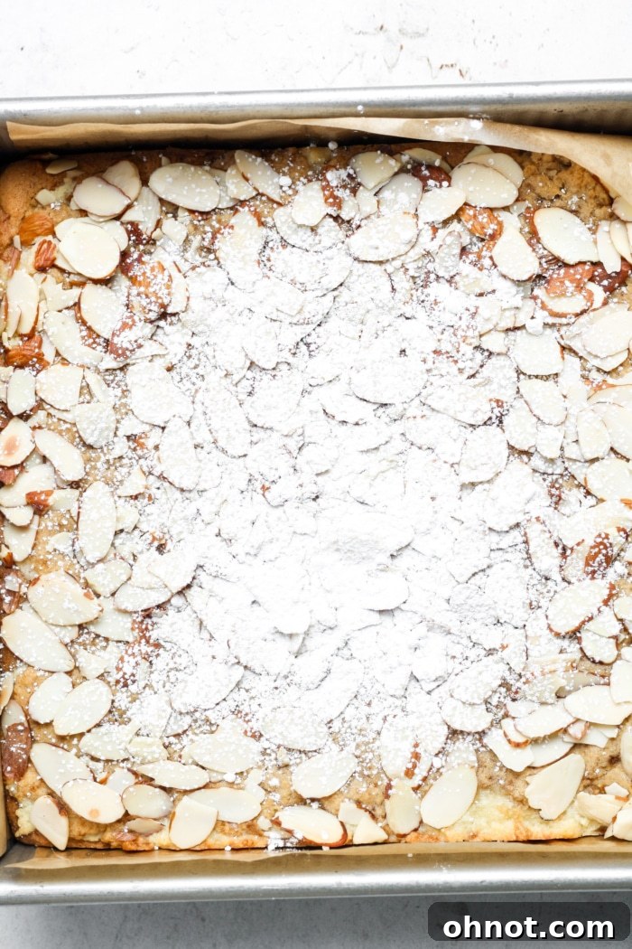 Powdered sugar dusted over baked almond bars with nuts.