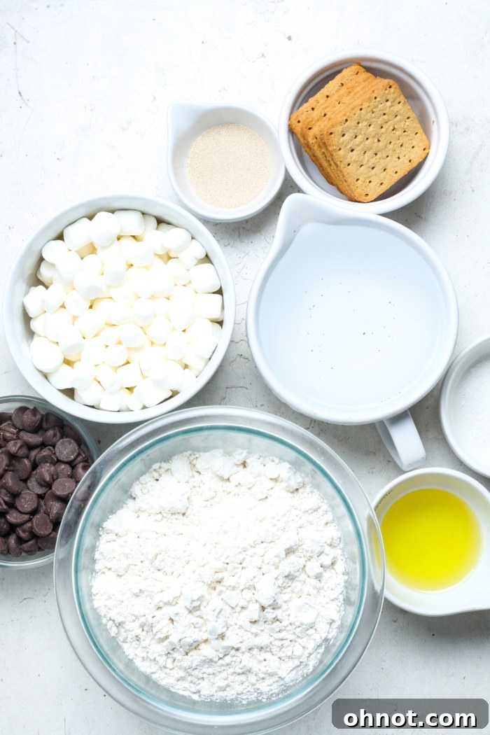 A vibrant display of S'mores Pizza ingredients: gluten-free flour, chocolate chips, marshmallows, and graham crackers, neatly arranged.