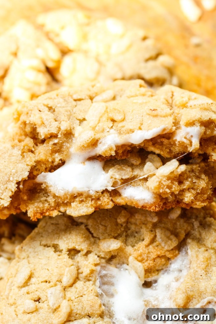 Rice krispie cookies.
