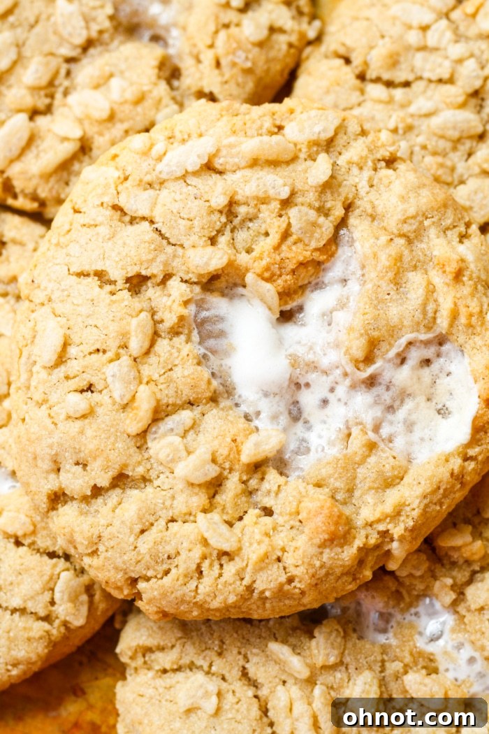 Close up of cereal cookies.