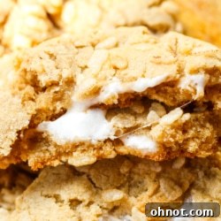 Rice krispie cookies.