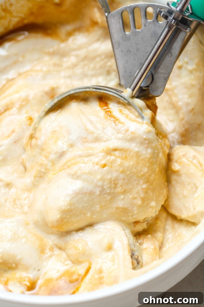 Another perspective of the creamy cottage cheese ice cream, ready to be enjoyed.