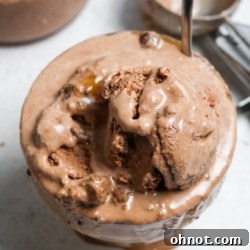Rich and creamy homemade Ninja Creami chocolate ice cream