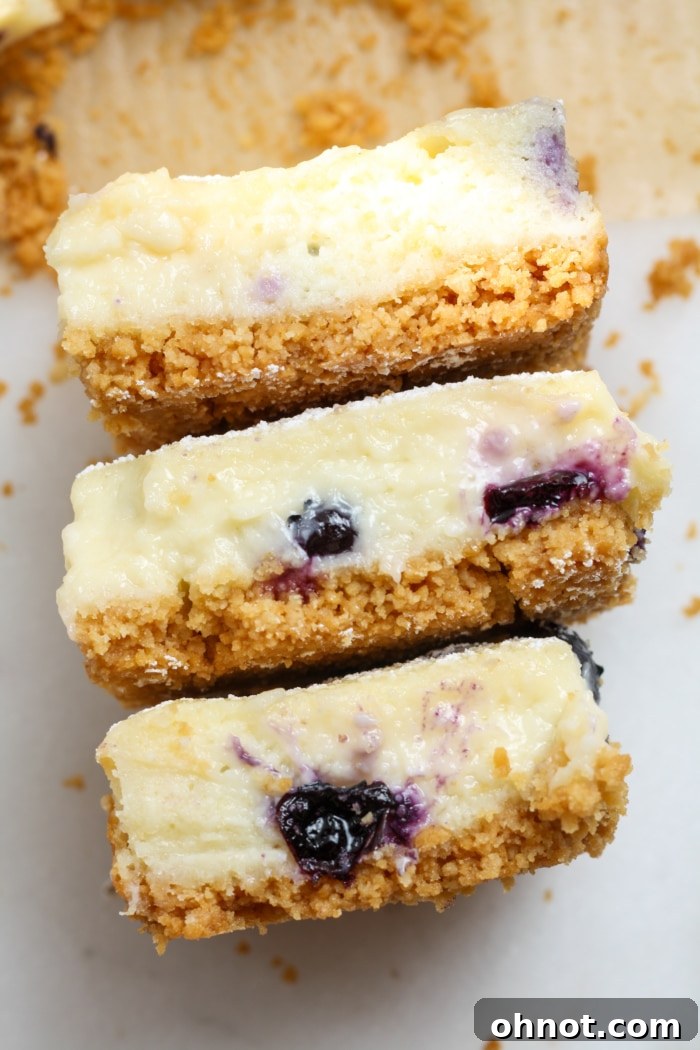 Delicious homemade blueberry cheesecake bars on a cooling rack.