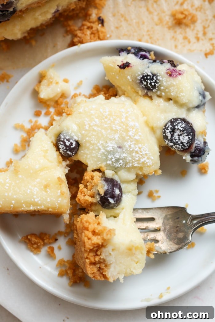 A single bite-sized blueberry cheesecake bar.