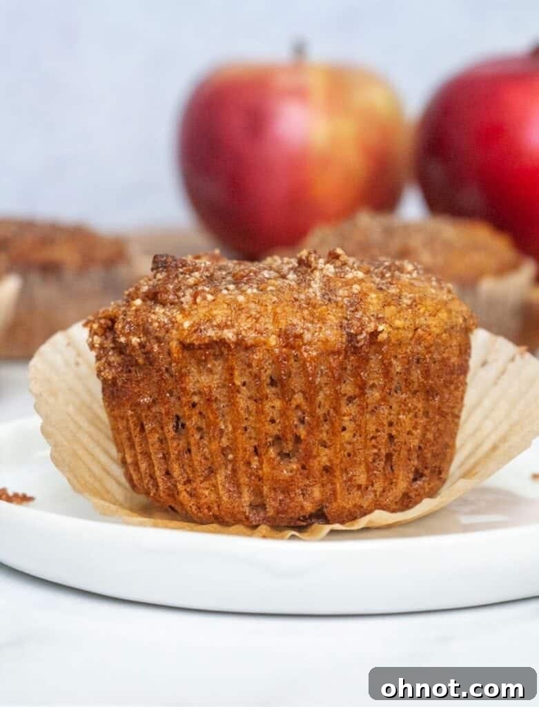 Close-up of a single Paleo apple cinnamon muffin with crumb topping